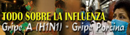 AH1N1